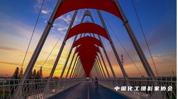 《魅车蕾丝桥》周江宁13908062580